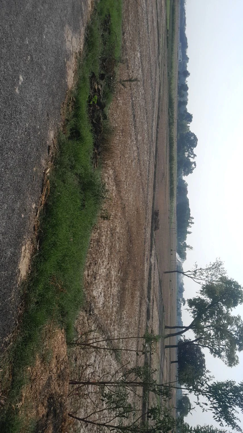 P5QC+79 Pure Husan Khan, Uttar Pradesh, India