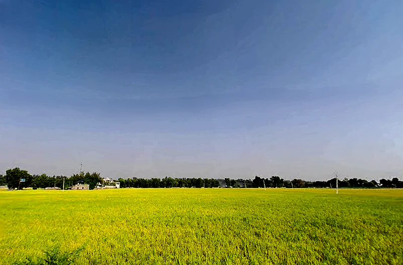 Jiwan Nagar, Haryana 125075, India preview 3