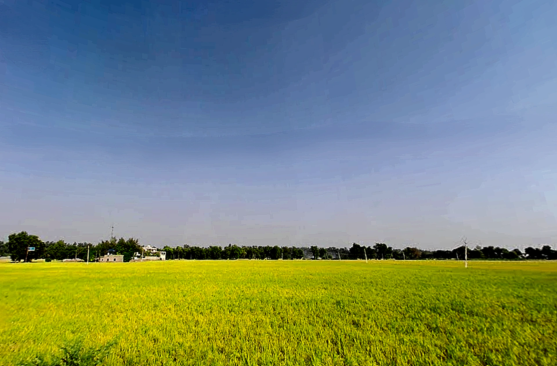 Jiwan Nagar, Haryana 125075, India