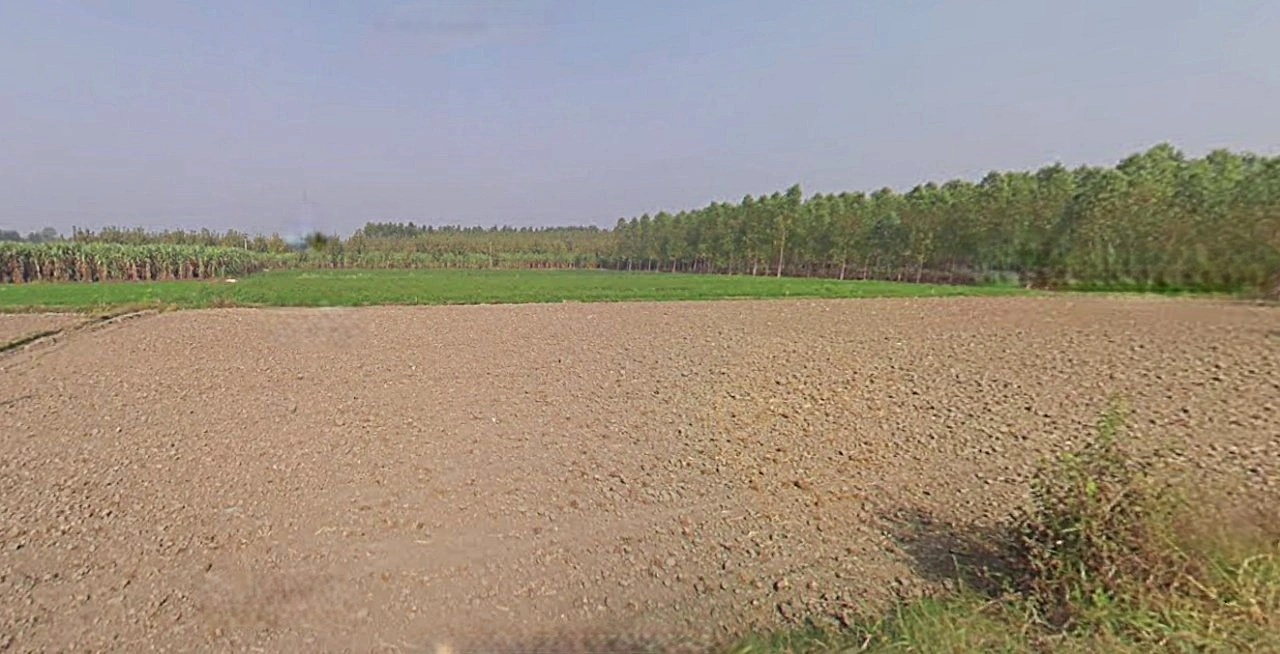 Jhajjar, Haryana 124103, India