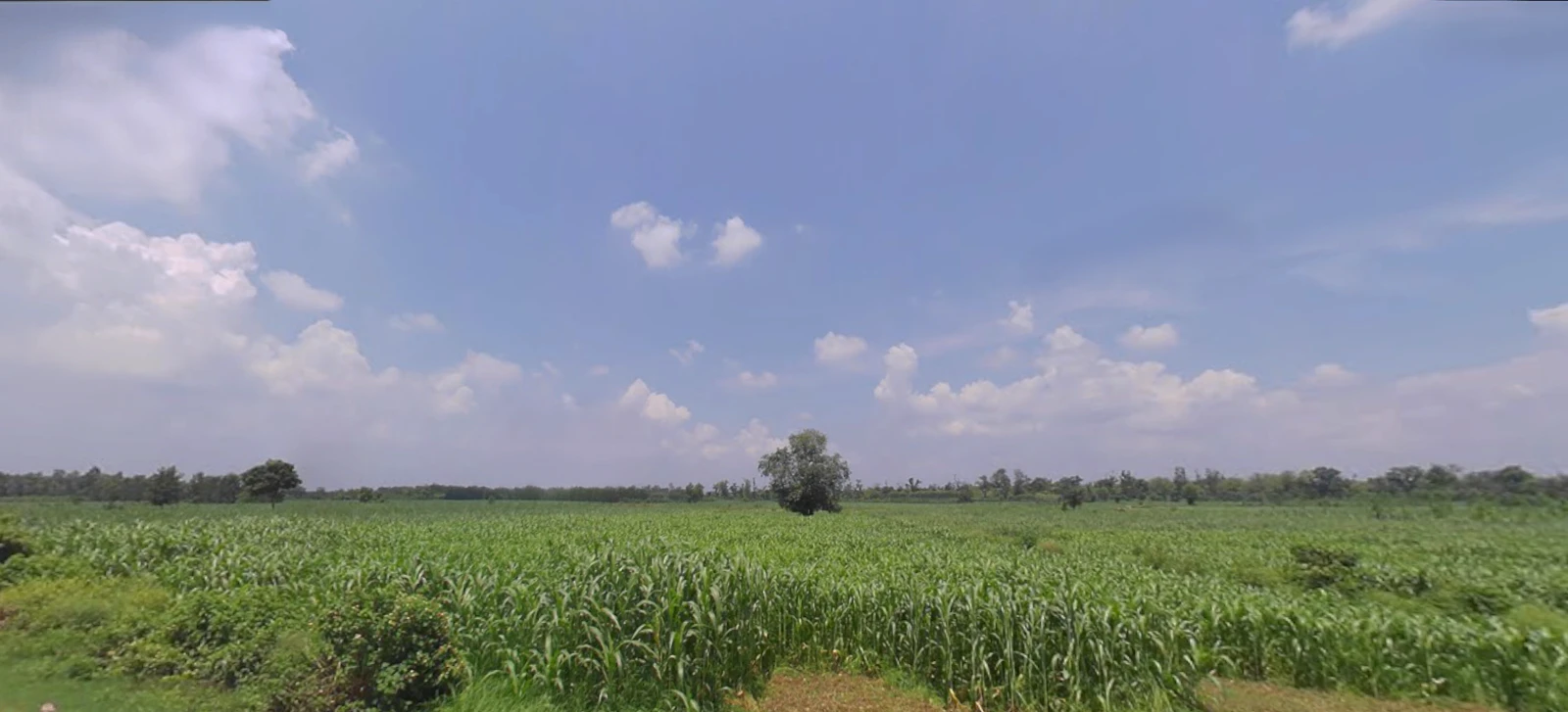 Chhutmalpur, Uttar Pradesh 247662, India