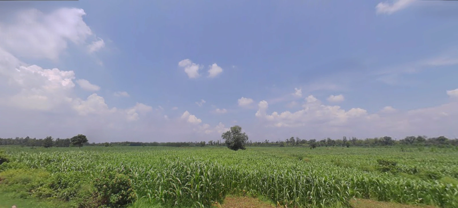 Chhutmalpur, Uttar Pradesh 247662, India