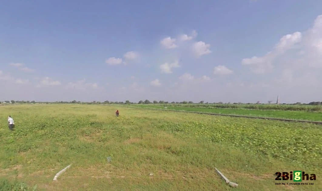Palu Kalan, Rajasthan 303348, India