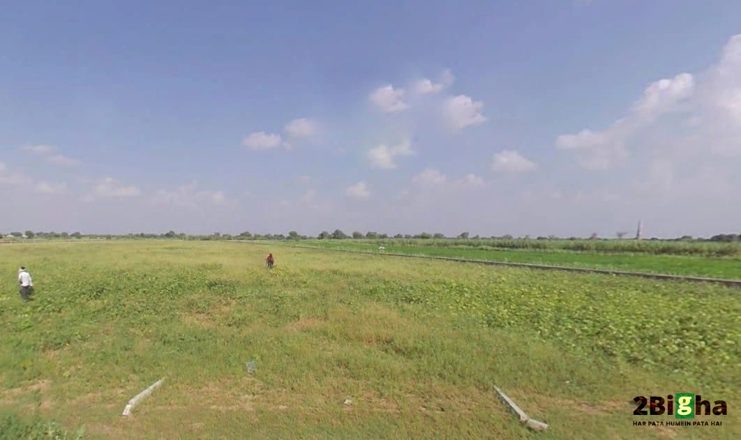 Palu Kalan, Rajasthan 303348, India