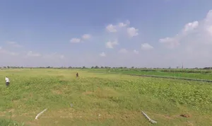 Palu Kalan, Rajasthan 303348, India preview 2