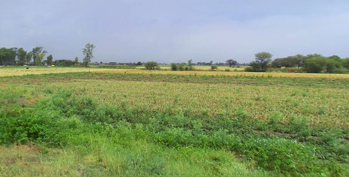 Narsinghpur, Madhya Pradesh 487001, India