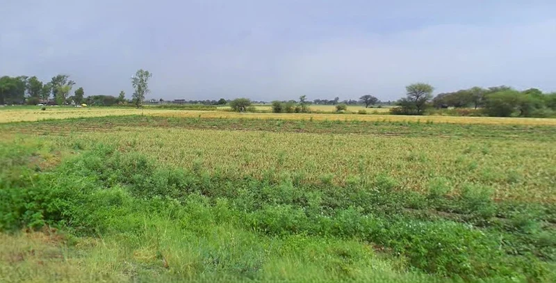 Narsinghpur, Madhya Pradesh 487001, India preview 3