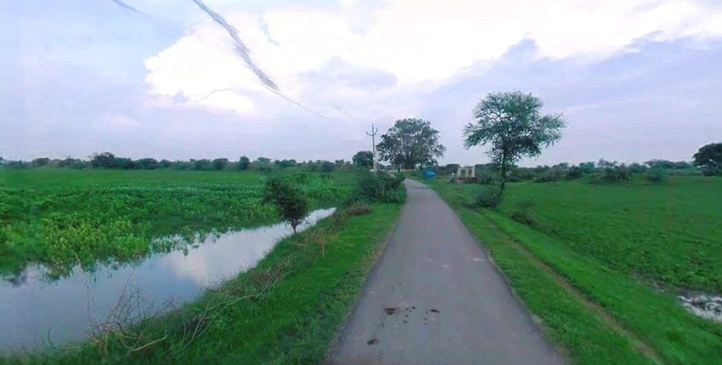 Charkhi Dadri, Haryana 127306, India