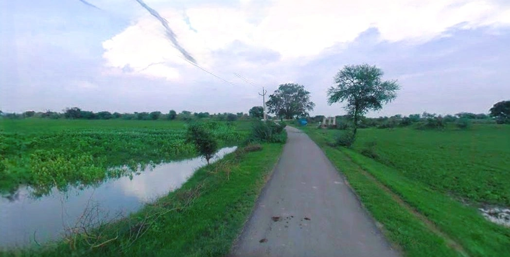Charkhi Dadri, Haryana 127306, India