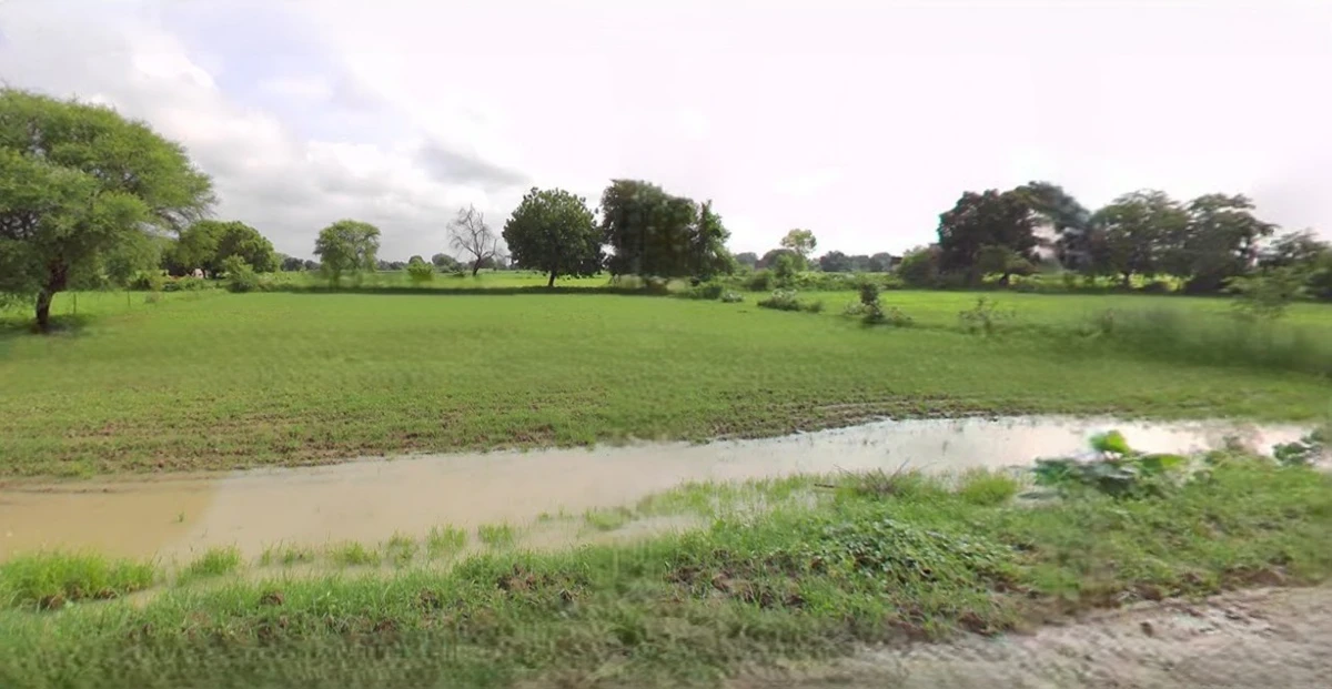 Kothi, Madhya Pradesh 485666, India