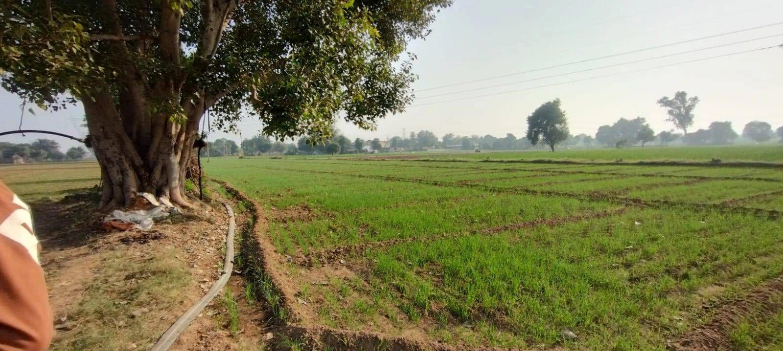 Gopalpur, Sonipat, Haryana 131402, India