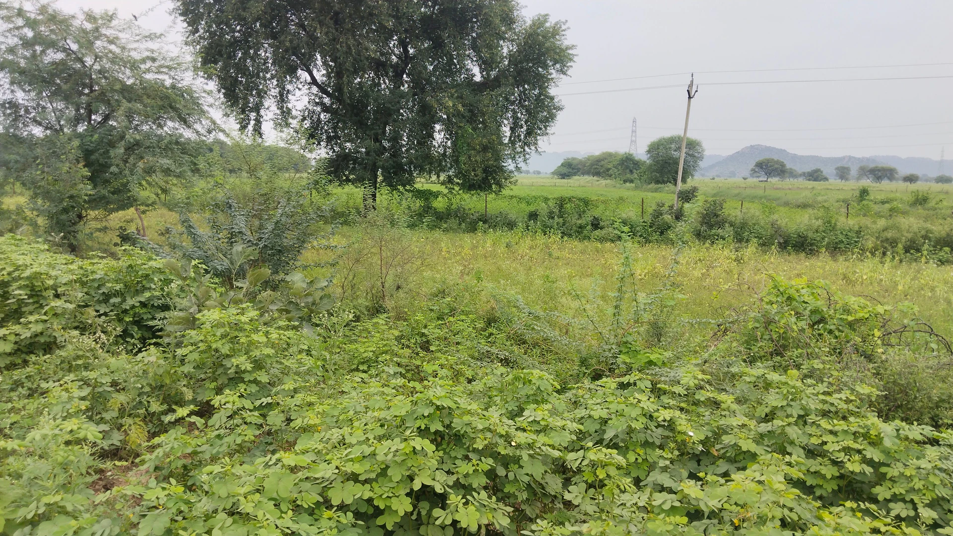 Bamhauri, Jhansi, Uttar Pradesh 284204, India