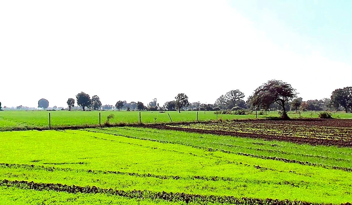 Solsinda, Madhya Pradesh 453551, India