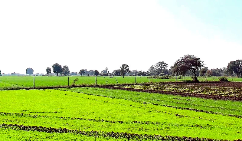 Solsinda, Madhya Pradesh 453551, India preview 5