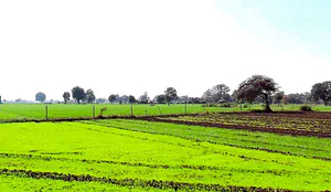 Solsinda, Madhya Pradesh 453551, India preview 5