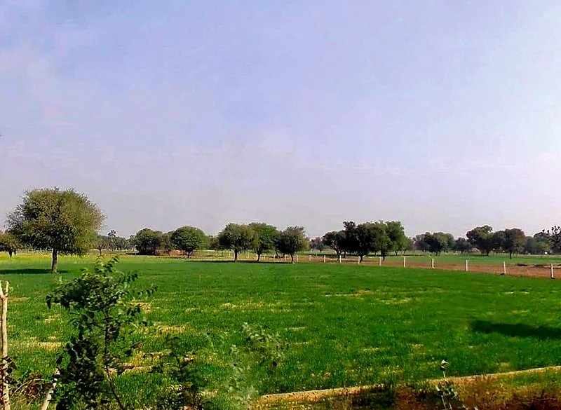 6JWX+XHM, Govindgarh, Rajasthan 303712, India preview 3