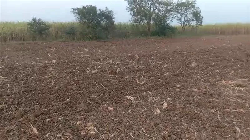 F4XG+PH Mera, Gujarat, India preview 3