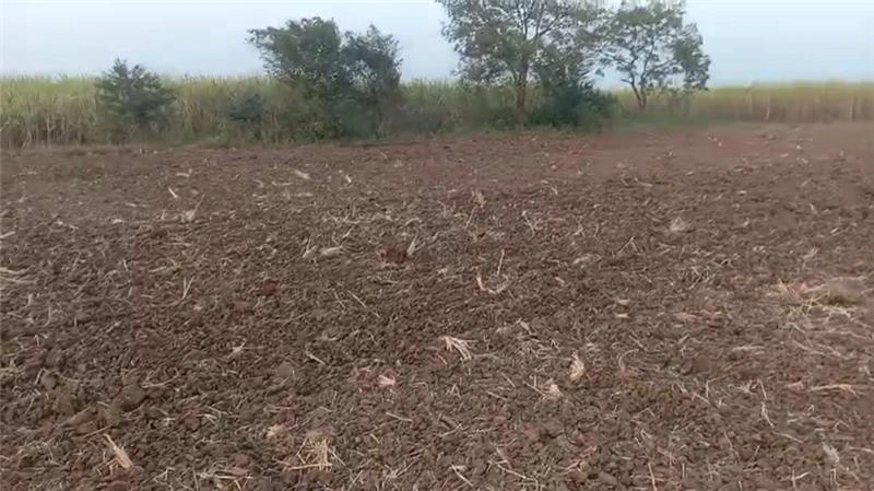 F4XG+PH Mera, Gujarat, India