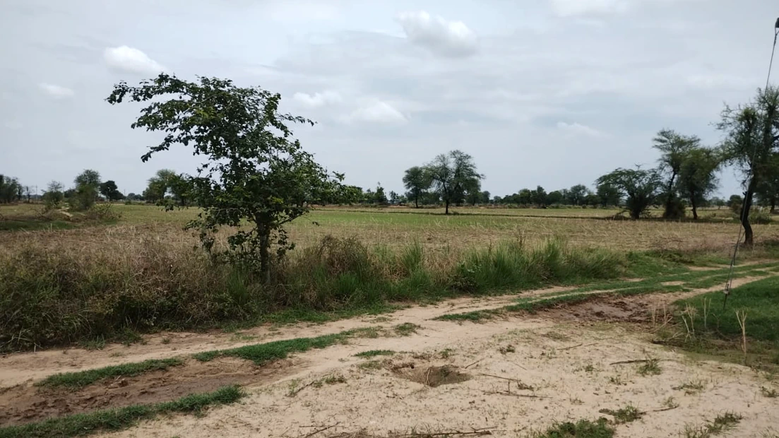 Siyana, Uttar Pradesh 203412, India