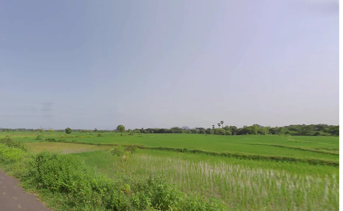 Buguda, Odisha 761118, India preview 3