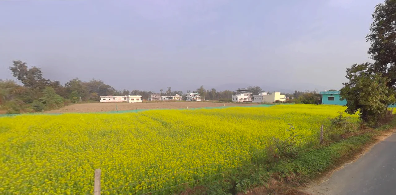 Vikasnagar, Uttarakhand, India preview 2