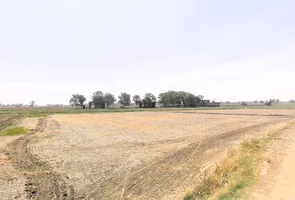 Pirthla, Haryana, India preview 3