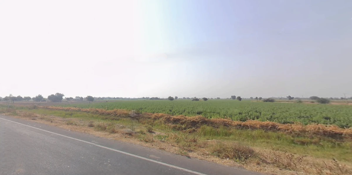 Sokali, Gujarat 382150, India