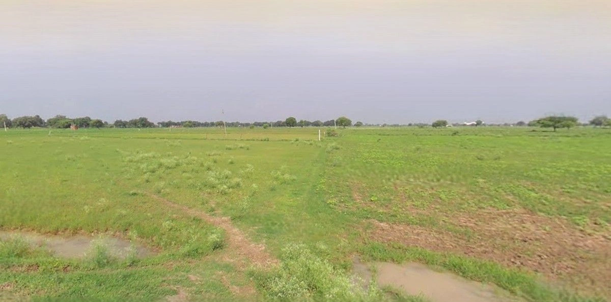 Sohanchida Must., Uttar Pradesh, India