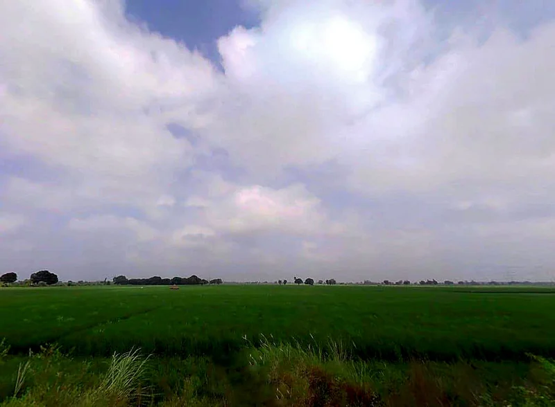 5J72+X3R, Kishorpur, Uttar Pradesh 203155, India preview 3