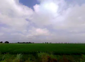 5J72+X3R, Kishorpur, Uttar Pradesh 203155, India preview 3