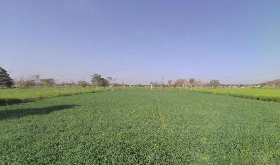 Firozpur Jhirka, Haryana 122104, India preview 2