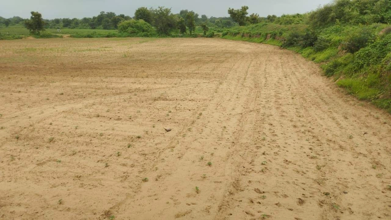 JJQX+35 Rangakui, Mahesana, Gujarat, India