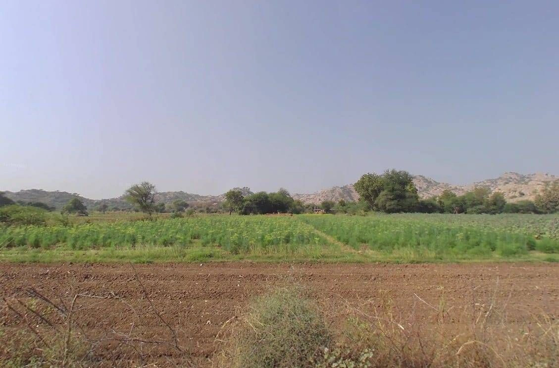 PVQR+9G3, Mandwara Khalsa, Rajasthan 307023, India