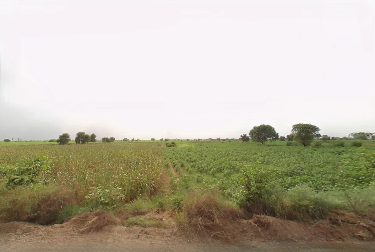 Beri, Haryana 124201, India preview 2