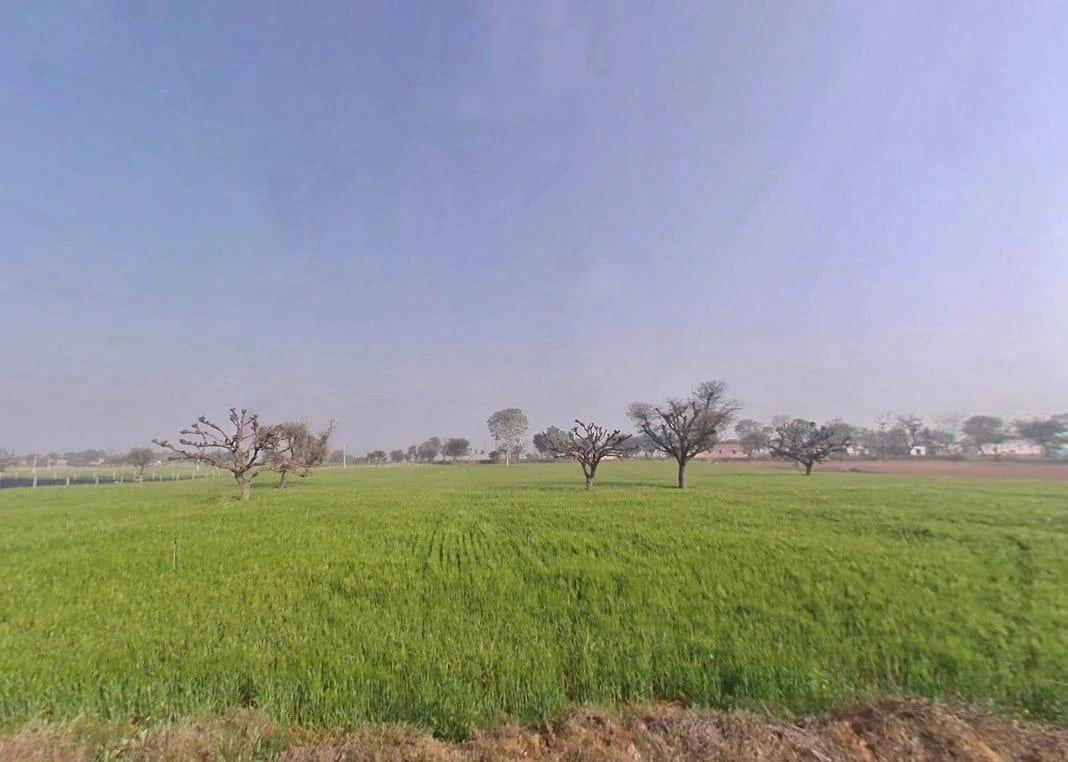 Lamiyan, Rajasthan, India