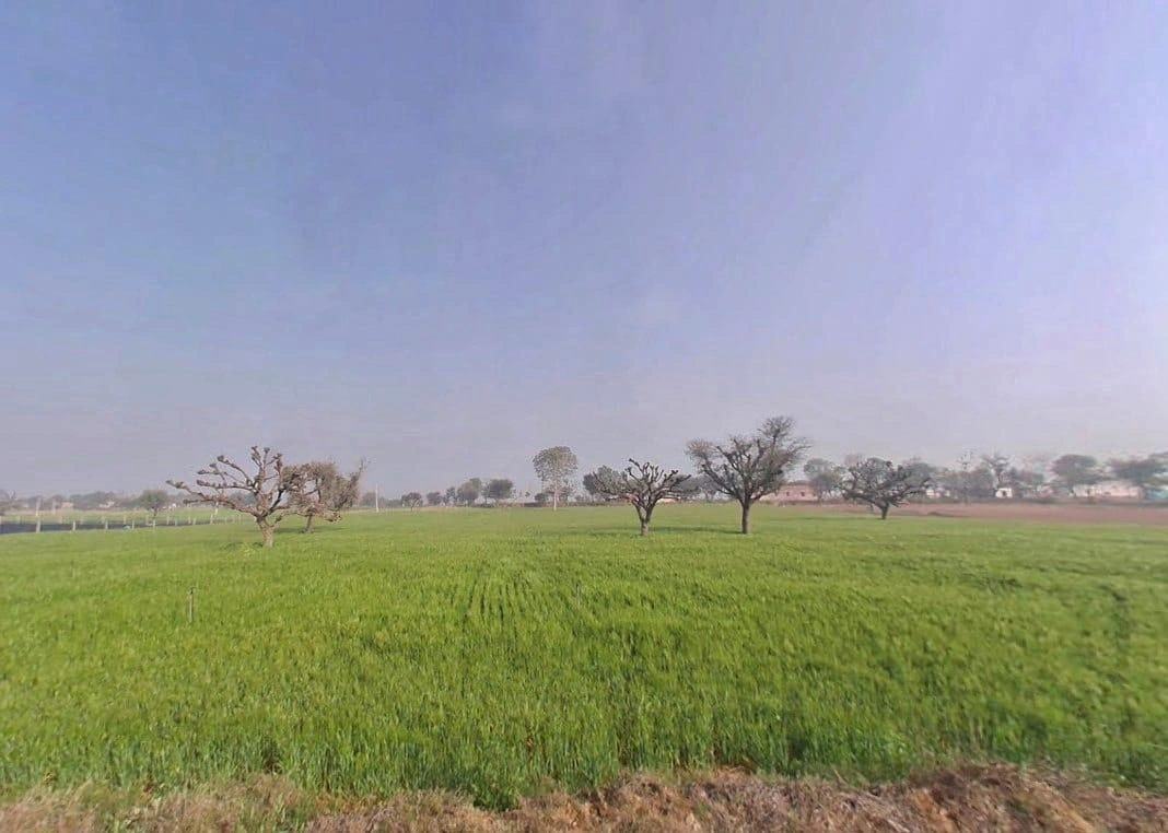 Lamiyan, Rajasthan, India
