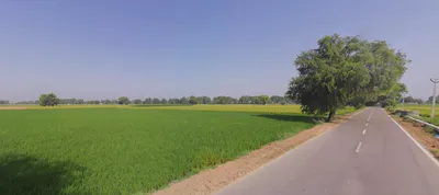 Rania, Haryana 125076, India preview 3