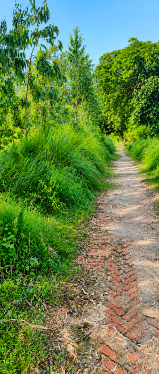 Pipri, Unnao, Uttar Pradesh, India