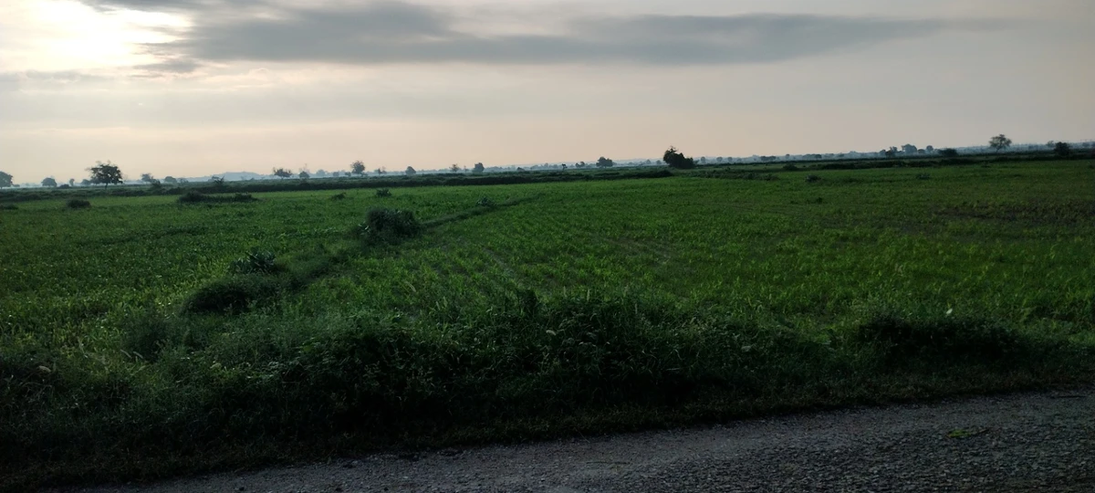 Deeg, Rajasthan 321203, India