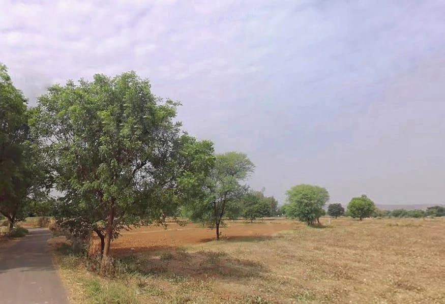 9QQC+6HF, Berla, Rajasthan 321633, India