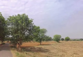 9QQC+6HF, Berla, Rajasthan 321633, India preview 3