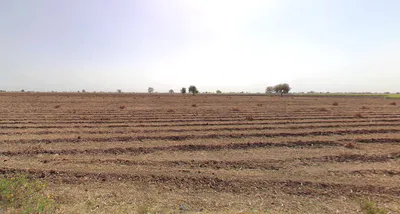 Lakhapar, Gujarat 370110, India preview 2