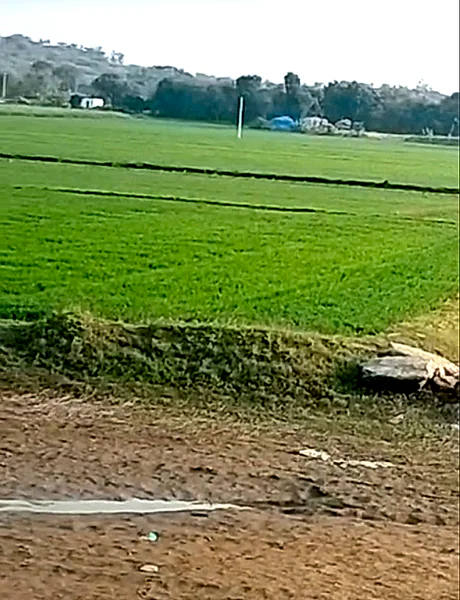 MGMW+W6 Odhandha, Rajasthan, India preview 2