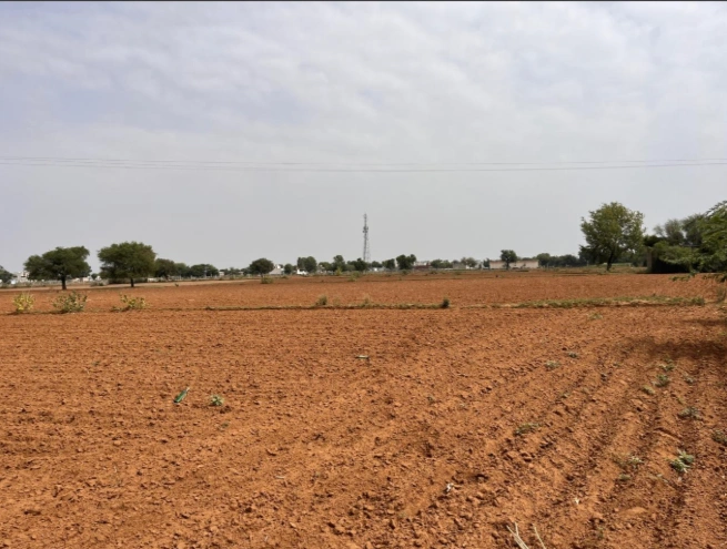 3RP2+52, Sonwa, Rajasthan 304001, India preview 2