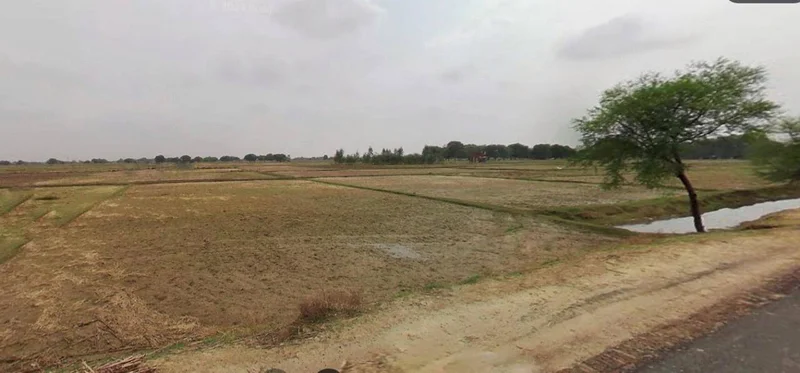 Bagha Road, JR48+C55, Bagha, Satna, Karhi Harmall, Madhya Pradesh 485001, India preview 3