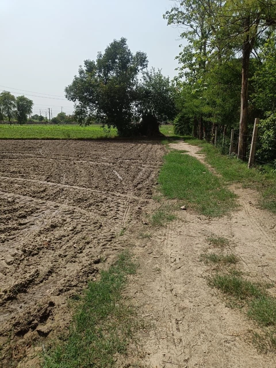 Raiwala, Uttarakhand 249205, India preview 2