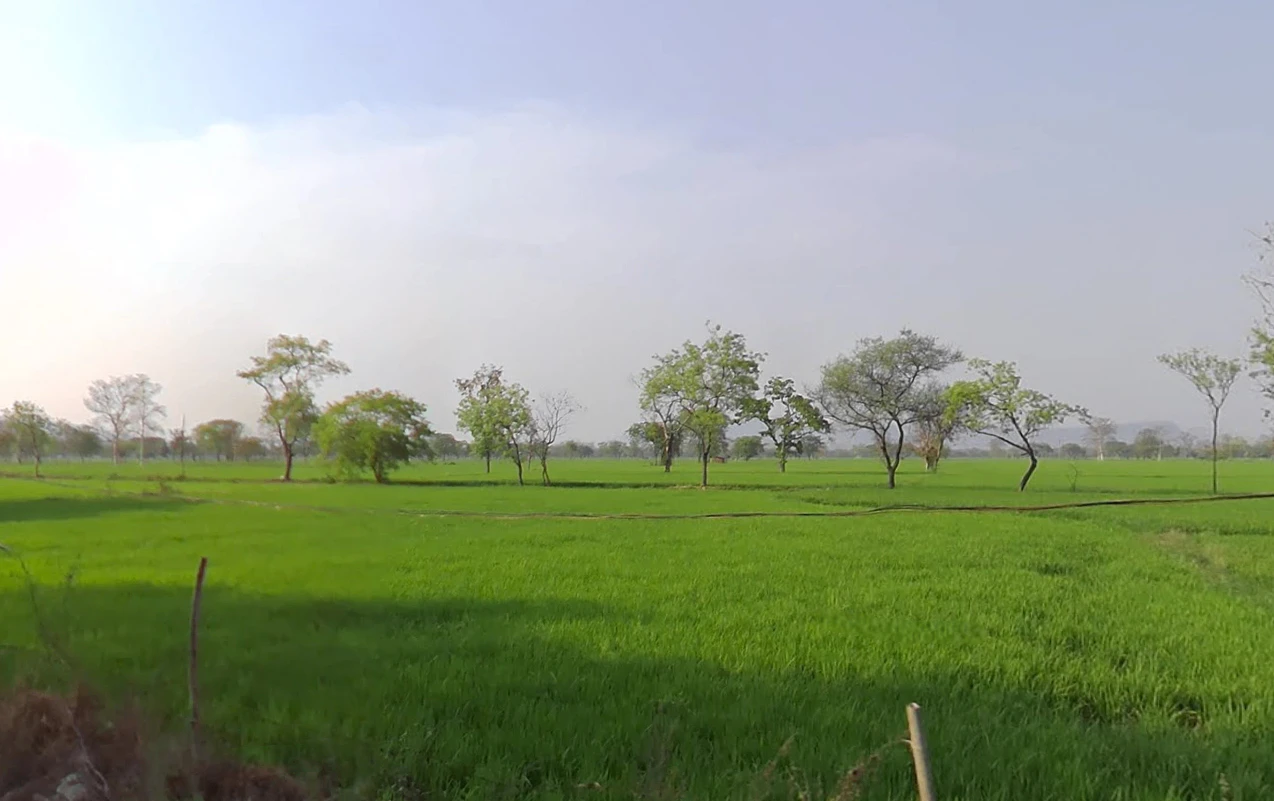 Khadgaon, Chhattisgarh 496116, India