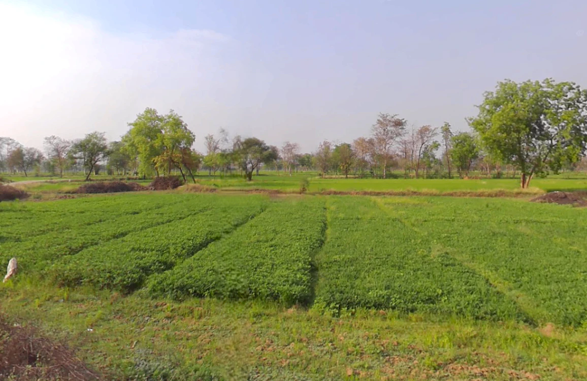 Village& post -sankari, WQMH+VHF, teh, Kurud, Chhattisgarh 493663, India