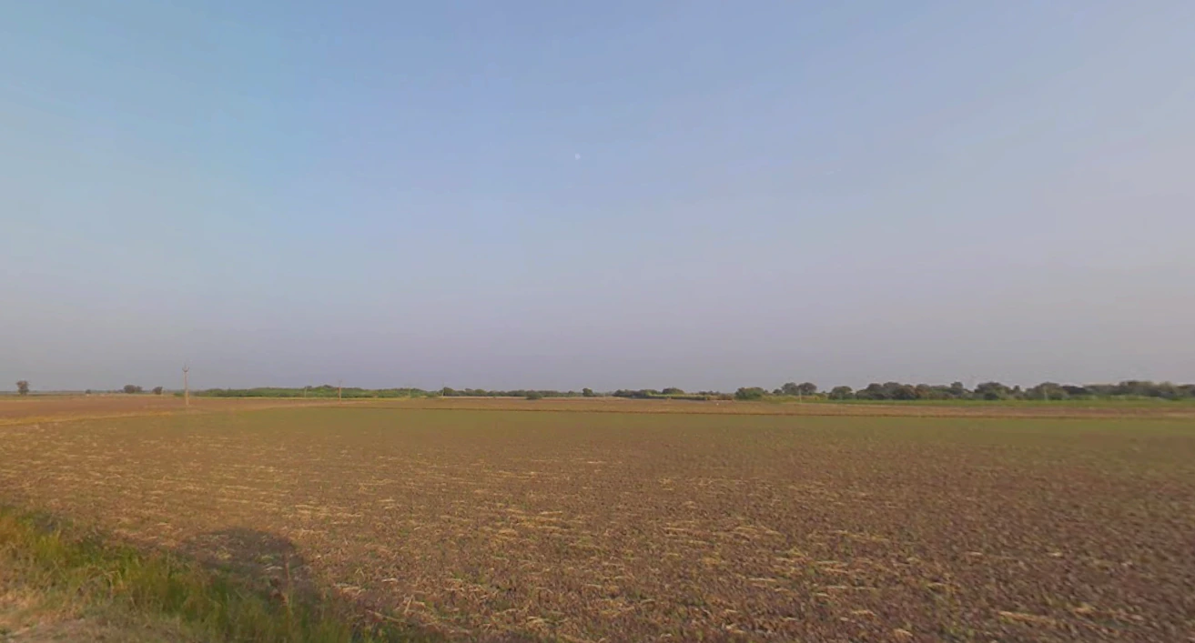 Vanaliya, Gujarat, India