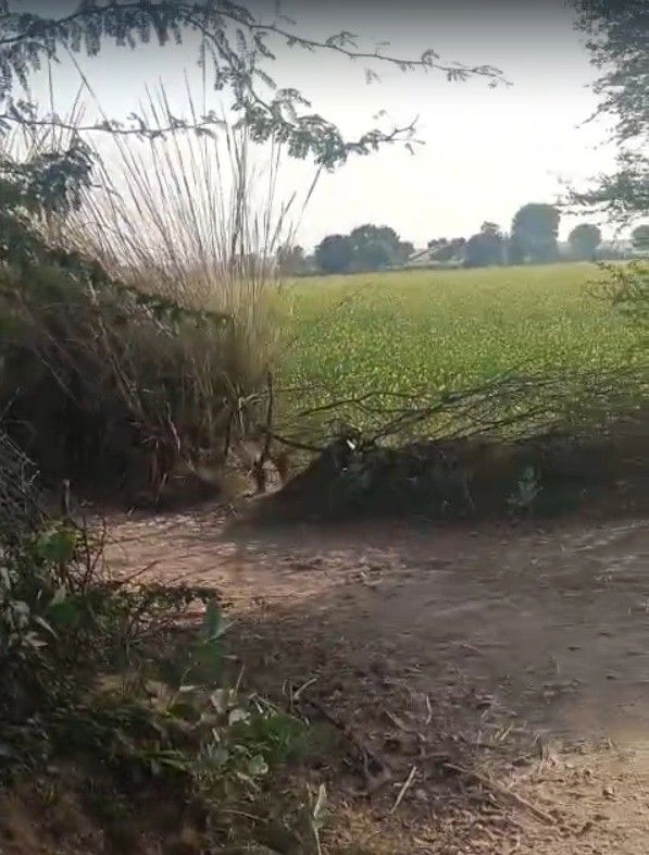 6WVV+74 Naharbari, Rajasthan, India